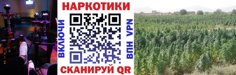 Где найти наркотики Костерёво COCAIN Alpha-PVP Бошки Шишки ГАШ