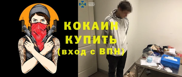 соль ск Тавда