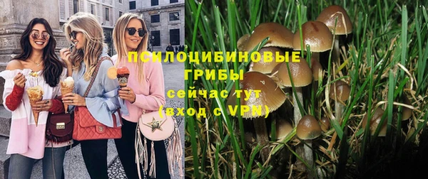 a pvp Осинники