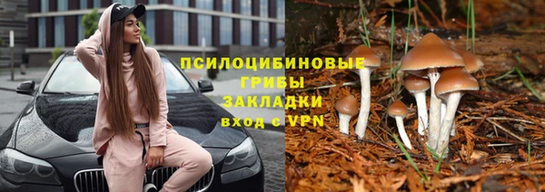 a pvp Осинники